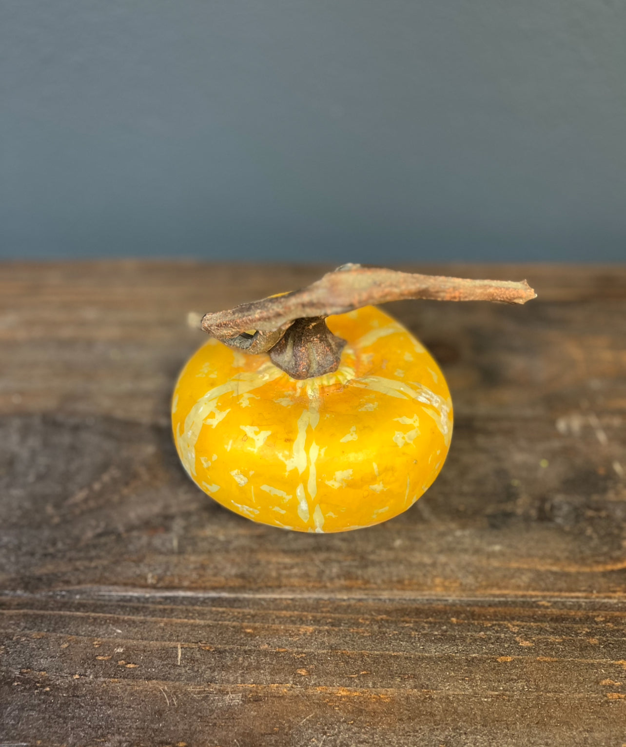 Fall Feather Pumpkin Centerpiece