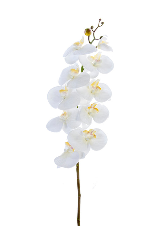 41” White Phalaenopsis Orchid Spray