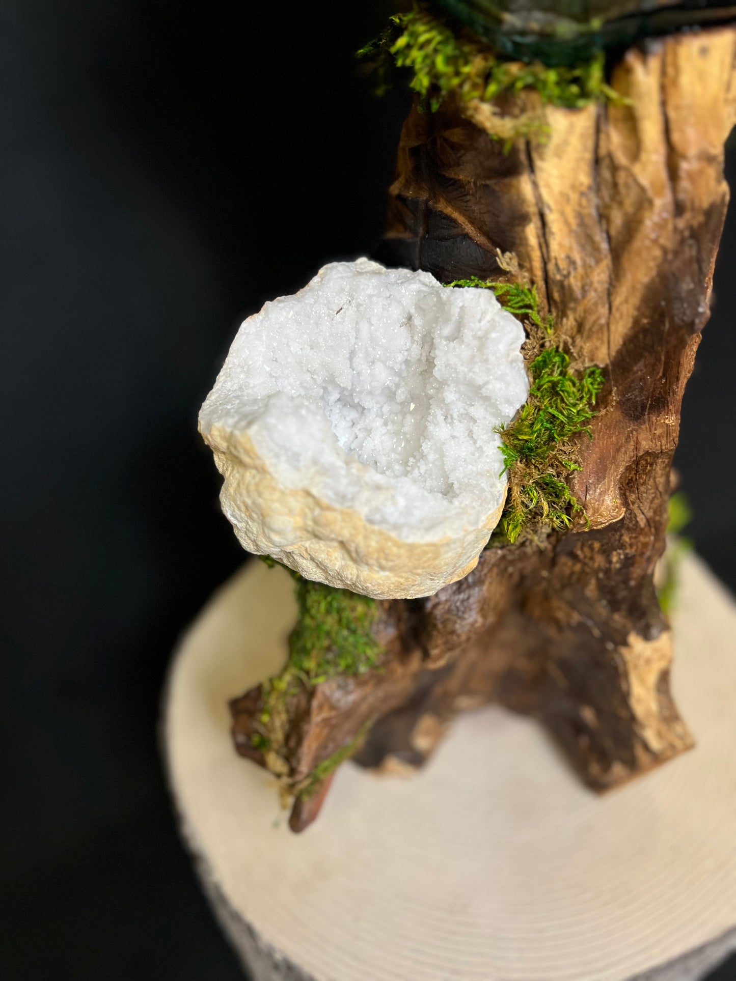 Teakwood Root and Blown Glass Planter With a White Selenite Geode