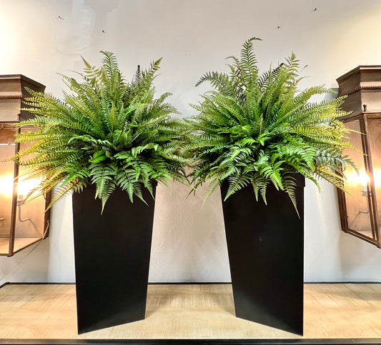 Tall Fern Planter