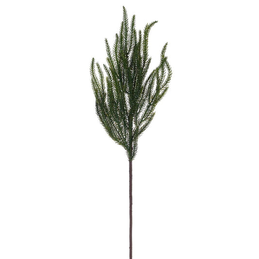 Green Norfolk Pine Spray. These elegant sprays stand at a height of 24.5 inches and width of 8 inches each