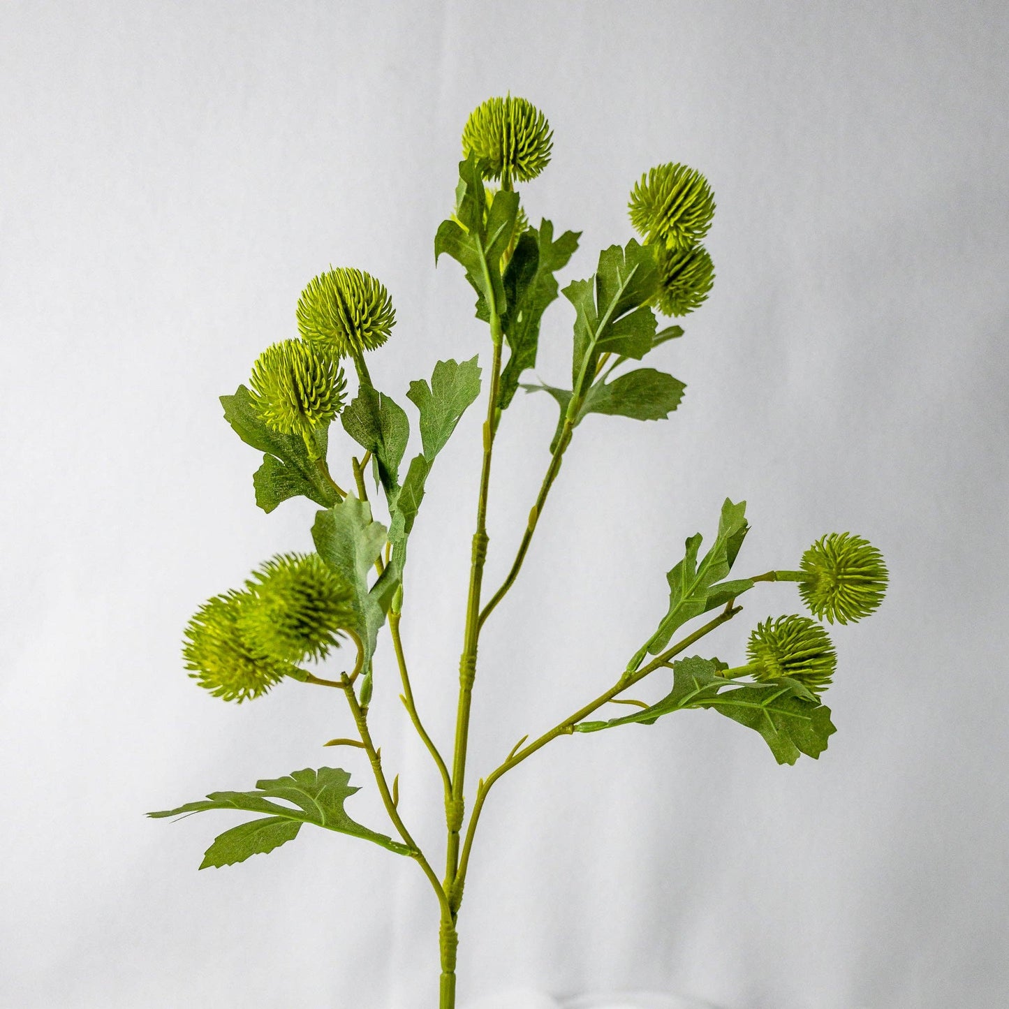 Green Pom Pom Spray: Single Stem